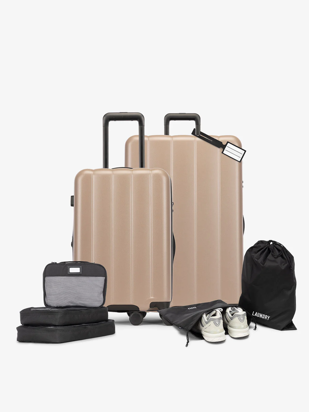Evry Starter Bundle - Image 11