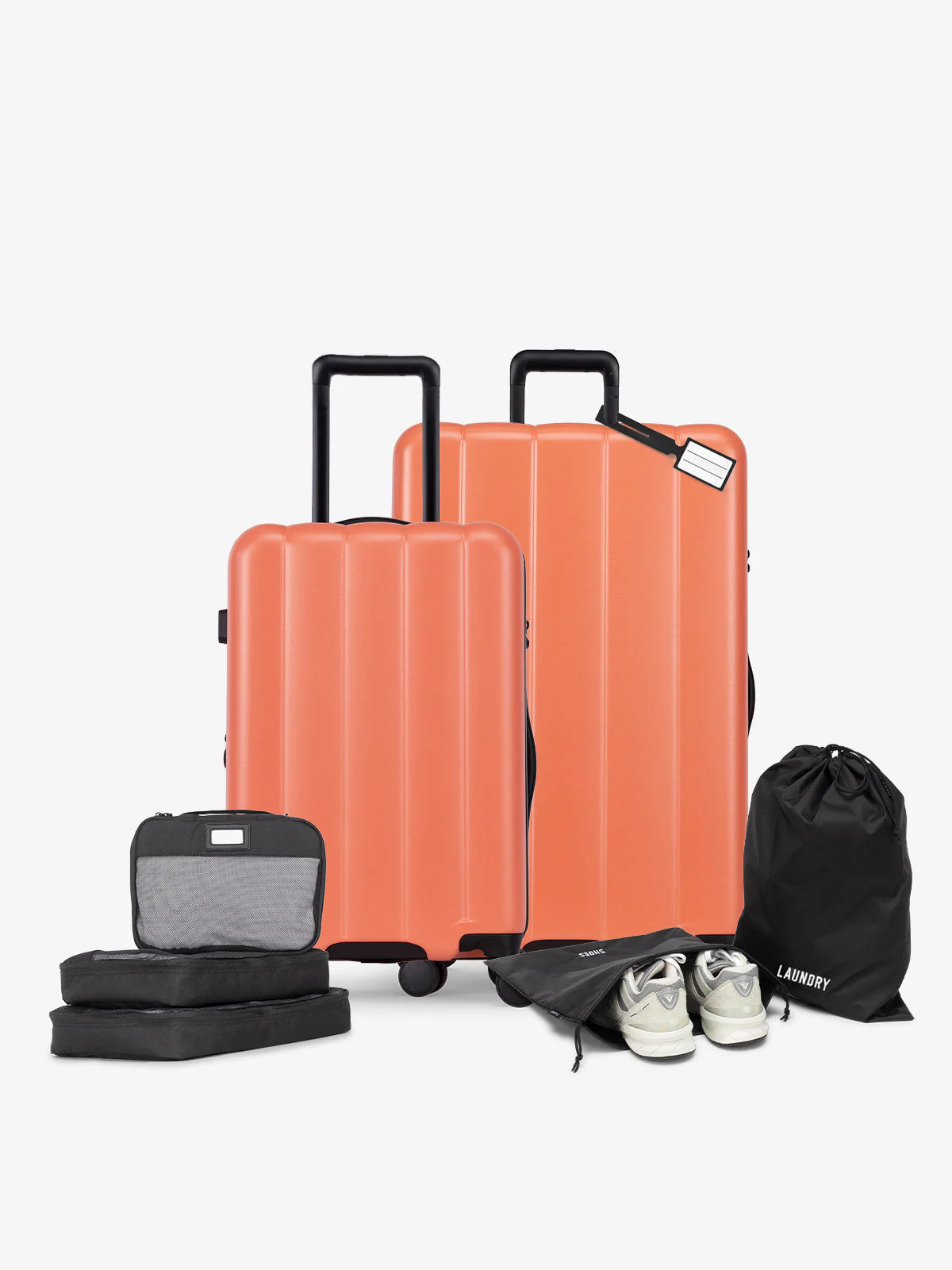 Evry Starter Bundle - Image 31